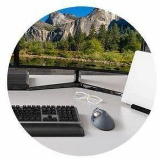 Alternate-Image8 Image for Kensington Pro Fit TB550 Mouse