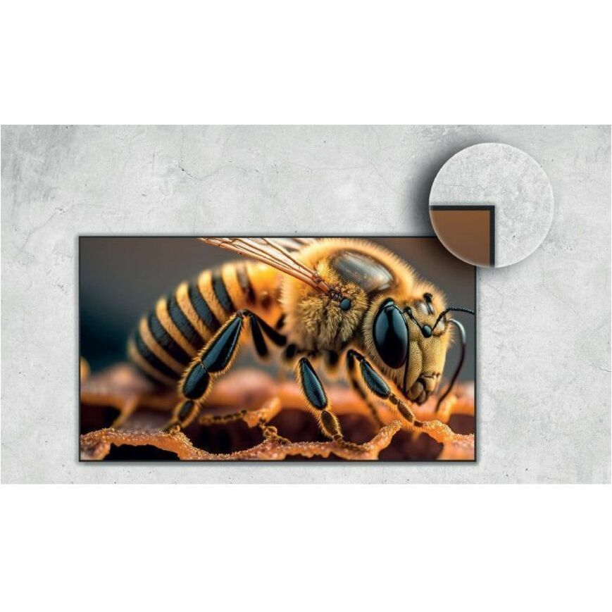 Alternate-Image6 Image for Hisense 50DM66D 50" 4K UHD DIGITAL SIGNAGE DISPLAY