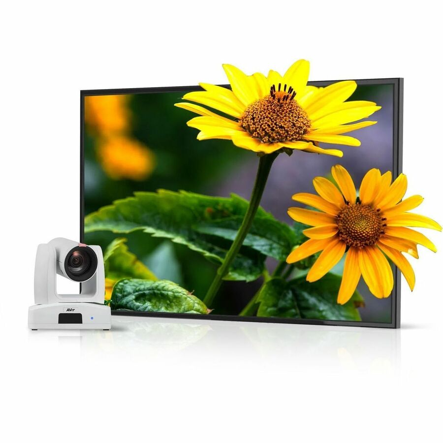 Alternate-Image3 Image for AVer Ptz211 2 Megapixel Indoor Full HD Network Camera - Color - TAA Compliant
