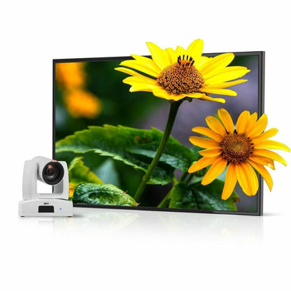 Alternate-Image3 Image for AVer Ptz211 2 Megapixel Indoor Full HD Network Camera - Color - TAA Compliant