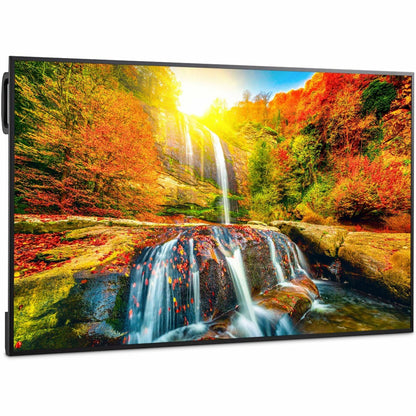 Main Image for Sharp 43" Ultra High Definition Commercial Display