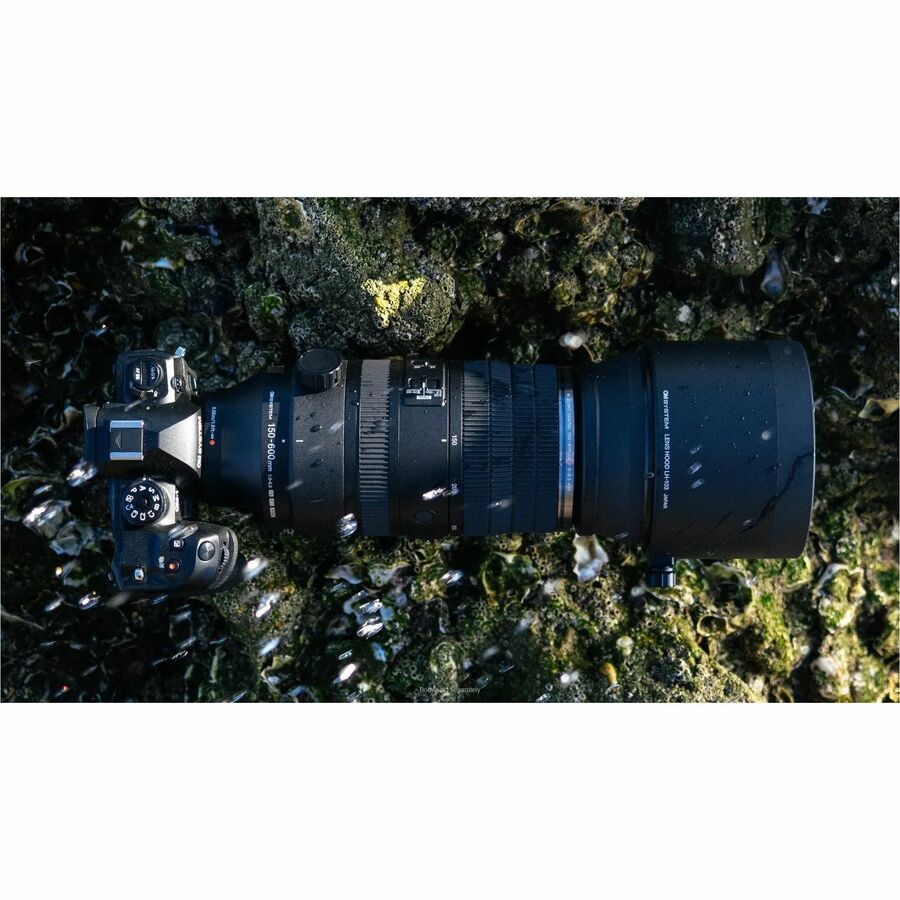 Alternate-Image6 Image for Om System M.ZUIKO DIGITAL - 150 mm to 600 mm - f/6.3 - f/5 - Telephoto Varifocal Lens for Micro Four Thirds