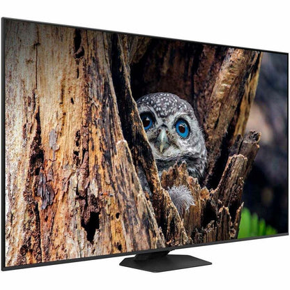 Alternate-Image8 Image for Samsung Q80D QN75Q80DAF 75" Smart LED-LCD TV 2024 - 4K UHDTV - High Dynamic Range (HDR) - Titan Black