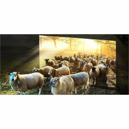 Alternate-Image4 Image for Samsung QN900D QN75QN900DF 74.5" Smart LED-LCD TV - 8K UHD - High Dynamic Range (HDR) - Black