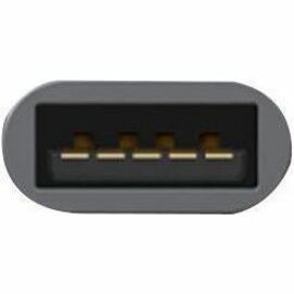Alternate-Image5 Image for Adesso Female USB-A to Male USB-C Adapter
