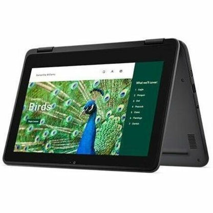 Alternate-Image10 Image for Dell Chromebook 3000 3120 11.6" Clamshell Chromebook - HD - 60 Hz - Intel N100 - 4 GB - 64 GB Flash Memory - English (US) Keyboard - Gray