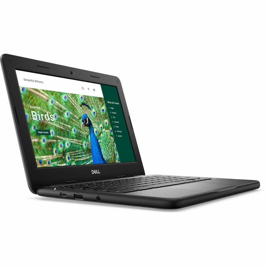 Alternate-Image1 Image for Dell Chromebook 3000 3120 11.6" Clamshell Chromebook - HD - 60 Hz - Intel N100 - 4 GB - 64 GB Flash Memory - English (US) Keyboard - Gray
