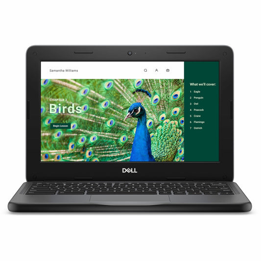 Main Image for Dell Chromebook 3000 3120 11.6" Clamshell Chromebook - HD - 60 Hz - Intel N100 - 4 GB - 64 GB Flash Memory - English (US) Keyboard - Gray