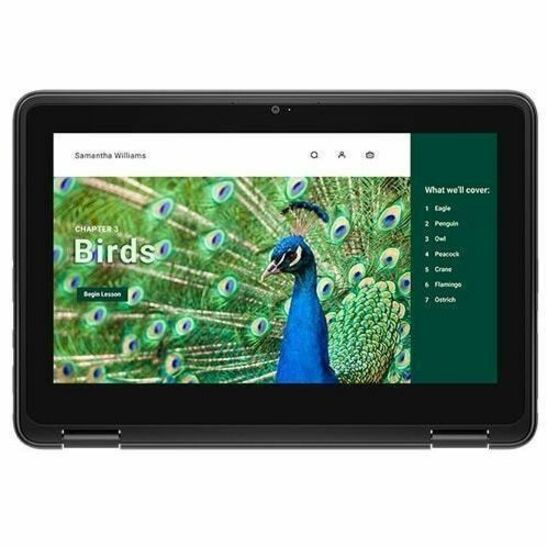 Alternate-Image9 Image for Dell Chromebook 3000 3120 11.6" Touchscreen Convertible 2 in 1 Chromebook - HD - 60 Hz - Intel N-Series N100 - 4 GB - 64 GB Flash Memory - English (US) Keyboard - Gray