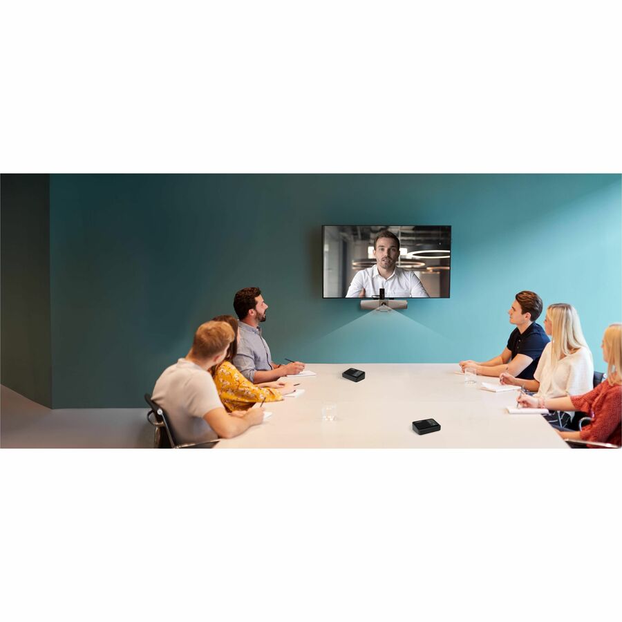 Alternate-Image3 Image for AVerMedia Wireless Expansion Microphone Kit