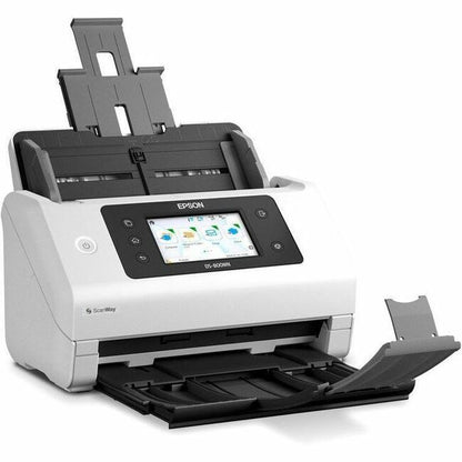 Main Image for Epson EdgeLink DS-800WN ADF Scanner - 600 dpi Optical