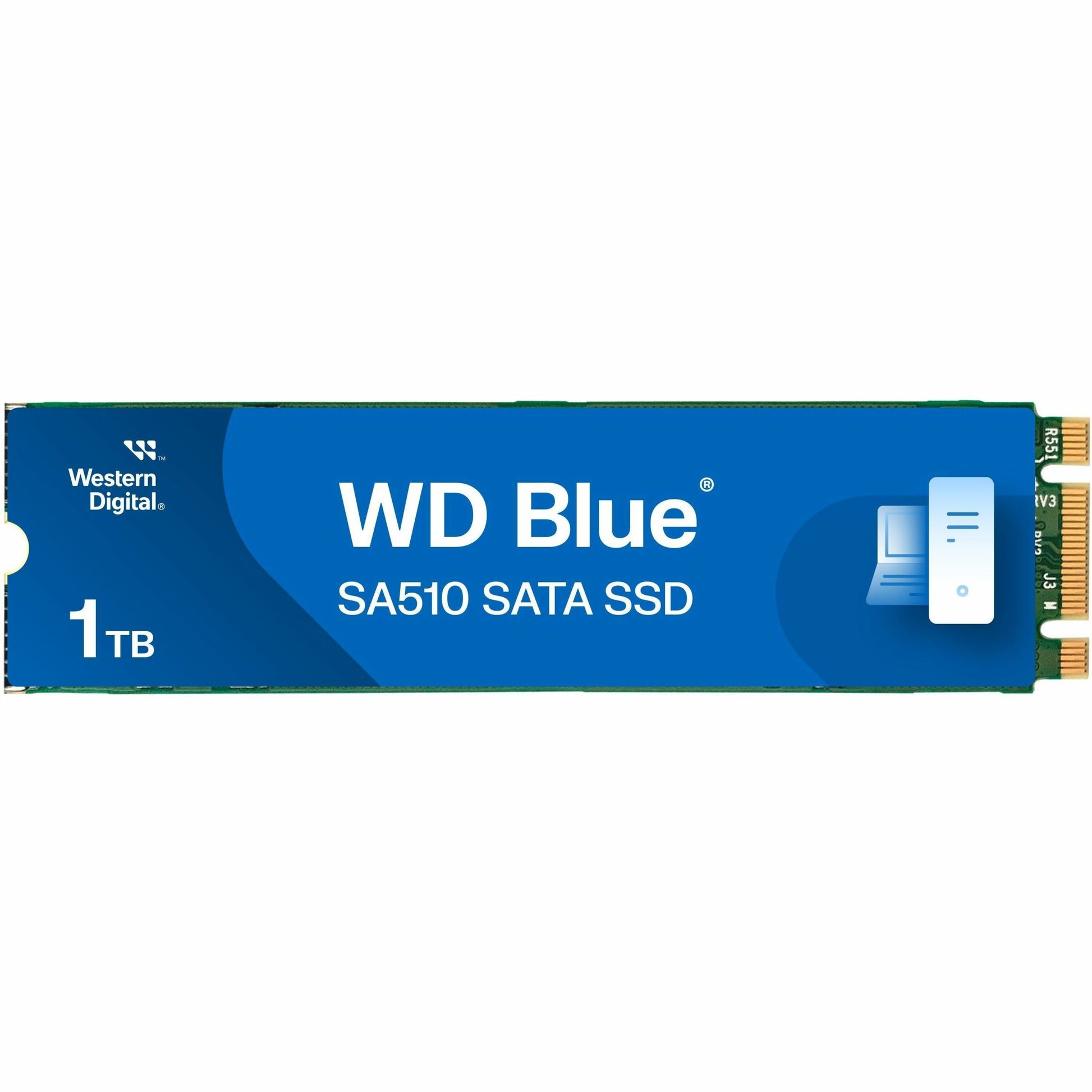 Main Image for WD Blue SA510 WDS100T3B0B 1 TB Solid State Drive - M.2 2280 Internal - SATA (SATA/600)