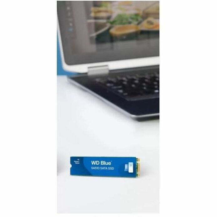 Alternate-Image5 Image for WD Blue SA510 WDS500G3B0B 500 GB Solid State Drive - M.2 Internal - SATA