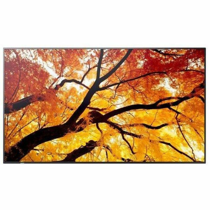 Front Image for Sharp PN-M652 65" Ultra High-Definition Professional Display
