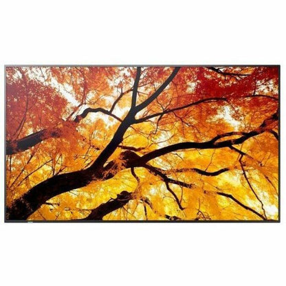 Front Image for Sharp PN-M652 65" Ultra High-Definition Professional Display