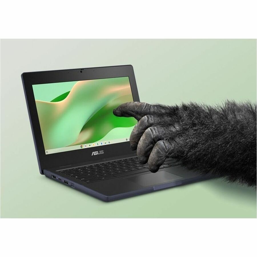 Alternate-Image2 Image for Asus Chromebook CR11 CR1104CTA-YZ42 11.6" Rugged Chromebook - HD - Intel N-Series N150 - 4 GB - 32 GB Flash Memory - Mineral Gray