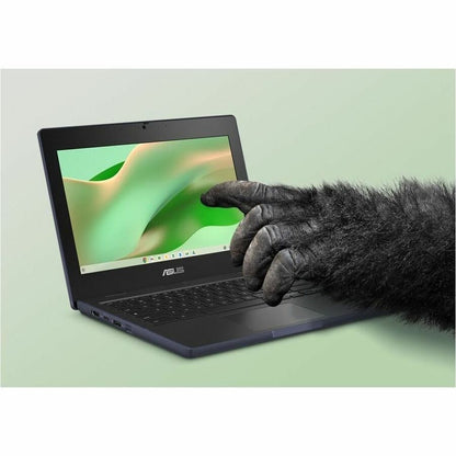 Alternate-Image2 Image for Asus Chromebook CR11 CR1104CTA-YZ42 11.6" Rugged Chromebook - HD - Intel N-Series N150 - 4 GB - 32 GB Flash Memory - Mineral Gray