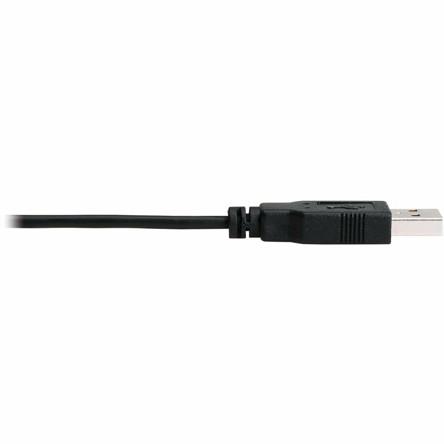 Alternate-Image6 Image for Eaton Tripp Lite Series 8K HDMI to DisplayPort Active Converter (M/F) with USB Power, 1 ft. (0.3 m)