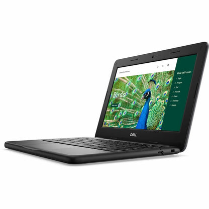 Alternate-Image6 Image for Dell Chromebook 3000 3120 11.6" Clamshell Chromebook - HD - 60 Hz - Intel N-Series N100 - 4 GB - 64 GB Flash Memory - English (US) Keyboard - Gray