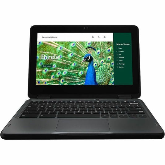 Main Image for Dell Chromebook 3000 3120 11.6" Touchscreen Convertible 2 in 1 Chromebook - HD - 60 Hz - Intel N-Series N100 - 4 GB - 64 GB Flash Memory - English (US) Keyboard