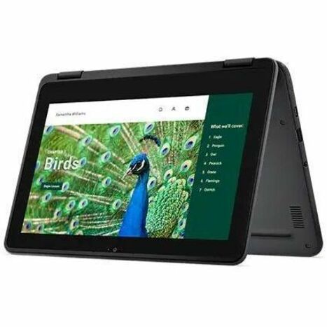 Alternate-Image10 Image for Dell Chromebook 3000 3120 11.6" Touchscreen Clamshell Chromebook - HD - 60 Hz - Intel N-Series N100 - 4 GB - 64 GB Flash Memory - English (US) Keyboard - Gray