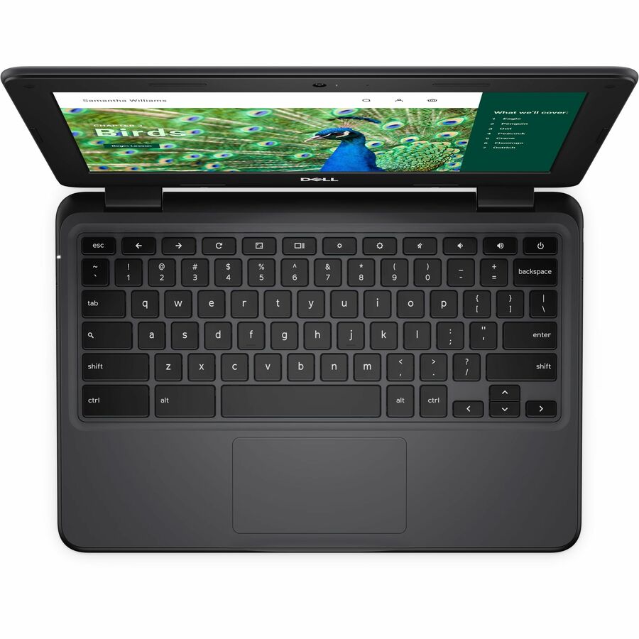 Alternate-Image7 Image for Dell Chromebook 3000 3120 11.6" Touchscreen Clamshell Chromebook - HD - 60 Hz - Intel N-Series N100 - 4 GB - 64 GB Flash Memory - English (US) Keyboard - Gray