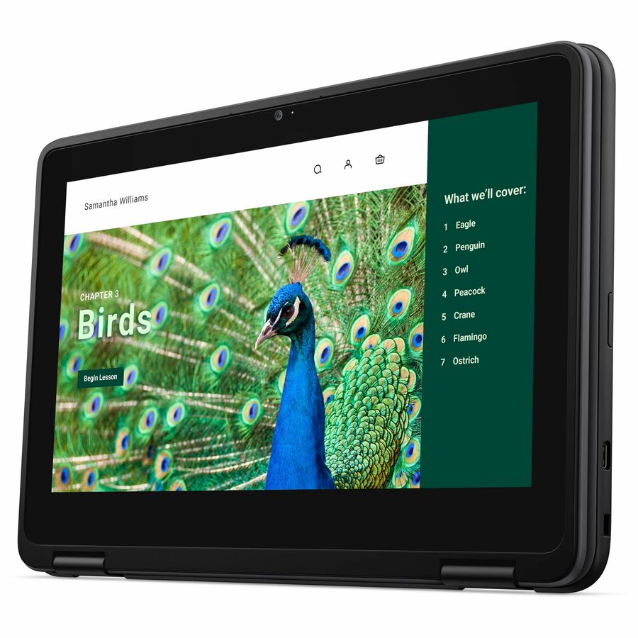 Alternate-Image4 Image for Dell Chromebook 3000 3120 11.6" Touchscreen Clamshell Chromebook - HD - 60 Hz - Intel N-Series N100 - 4 GB - 64 GB Flash Memory - English (US) Keyboard - Gray