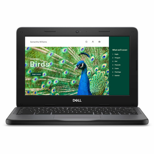 Main Image for Dell Chromebook 3000 3120 11.6" Touchscreen Clamshell Chromebook - HD - 60 Hz - Intel N-Series N100 - 4 GB - 64 GB Flash Memory - English (US) Keyboard - Gray