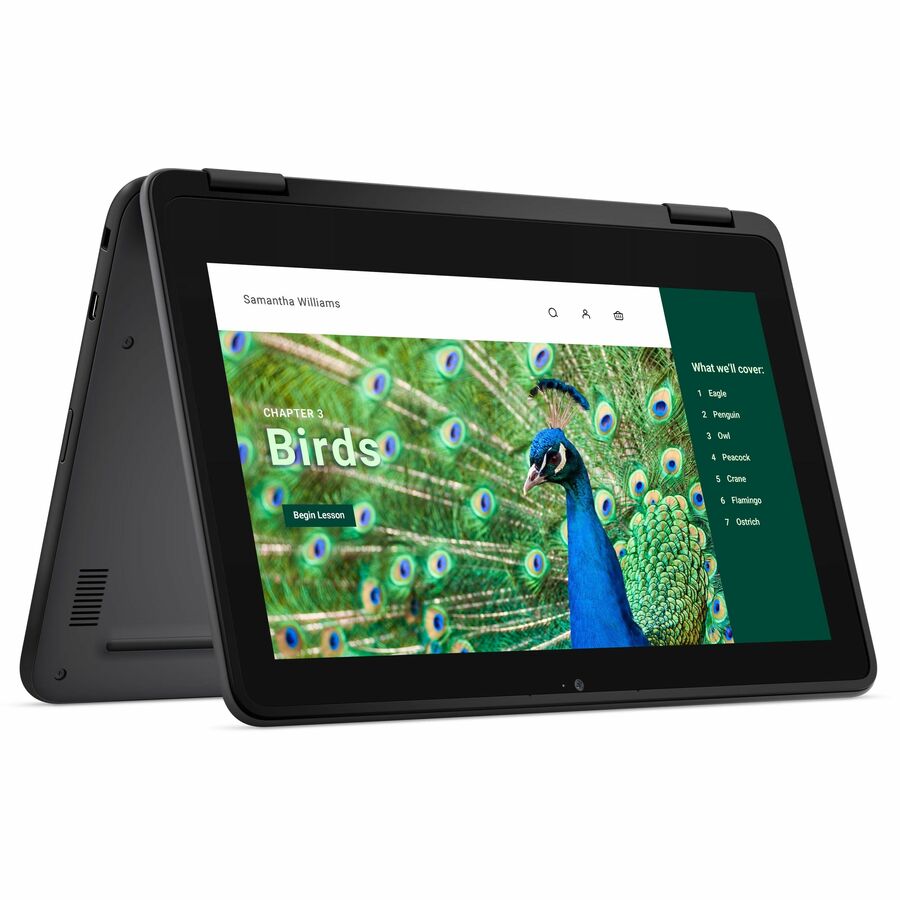 Alternate-Image1 Image for Dell Chromebook 3000 3120 11.6" Touchscreen Clamshell Chromebook - HD - 60 Hz - Intel N-Series N100 - 4 GB - 64 GB Flash Memory - English (US) Keyboard - Gray