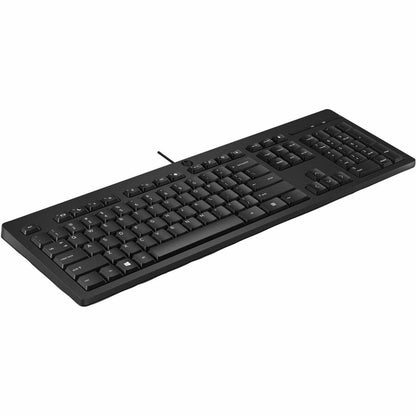 Alternate-Image2 Image for HP 125 Wired Keyboard (AY2Y7AA)