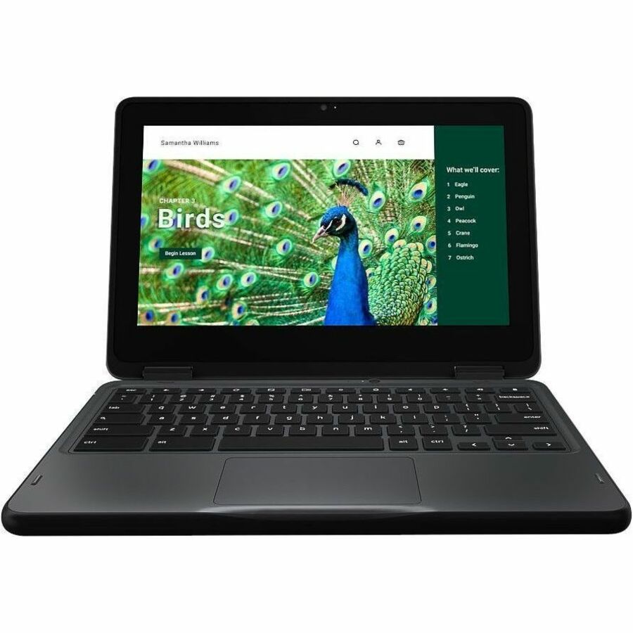 Main Image for Dell Chromebook 3000 3120 11.6" Touchscreen Clamshell Chromebook - HD - 60 Hz - Intel N-Series N100 - 8 GB - 64 GB Flash Memory - English (US) Keyboard