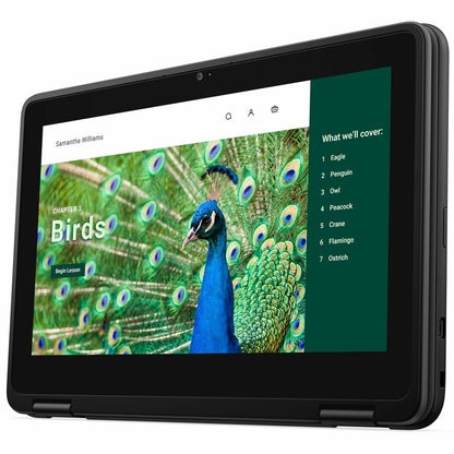 Alternate-Image8 Image for Dell Chromebook 3000 3120 11.6" Touchscreen Clamshell Chromebook - HD - 60 Hz - Intel N-Series N100 - 8 GB - 64 GB Flash Memory - English (US) Keyboard