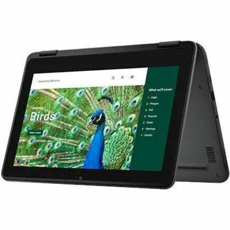 Right Image for Dell Chromebook 3000 3120 11.6" Touchscreen Clamshell Chromebook - HD - 60 Hz - Intel N-Series N100 - 8 GB - 64 GB Flash Memory - English (US) Keyboard