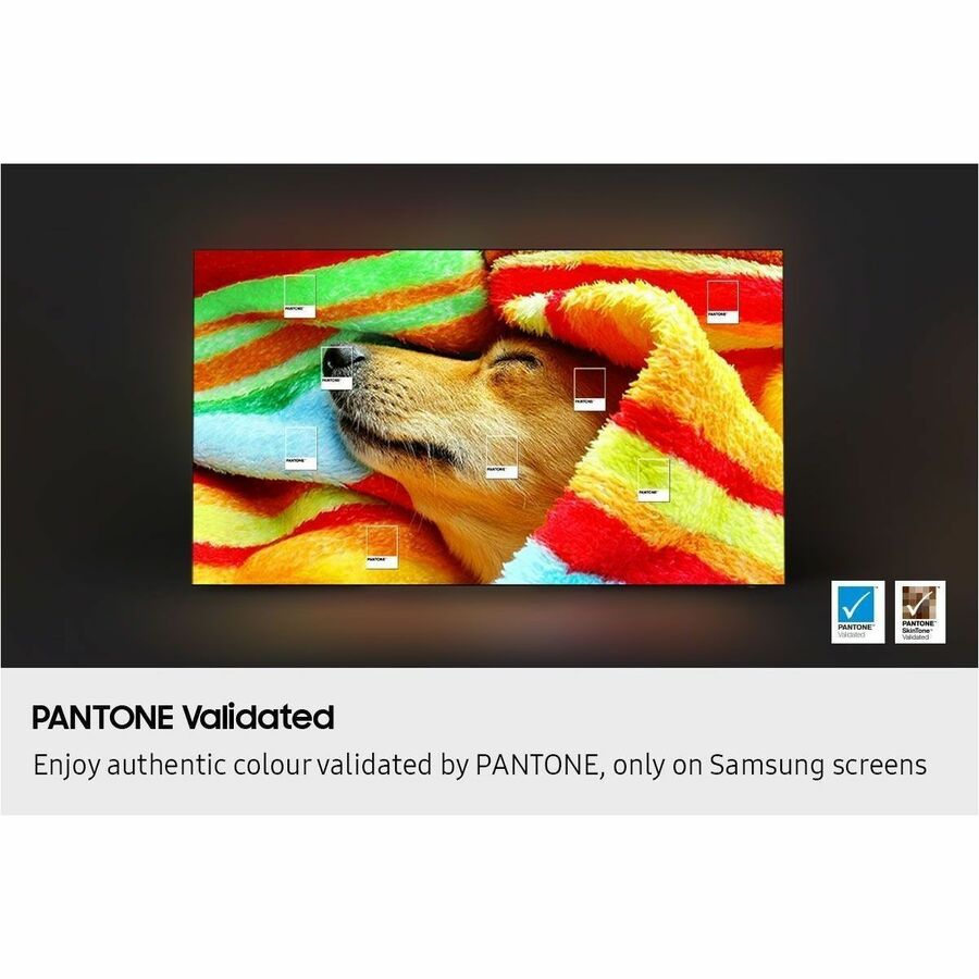 Alternate-Image4 Image for Samsung S85F QN65S85FAF 64.5" Smart OLED TV - 4K UHDTV - Graphite Black