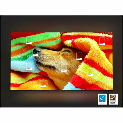 Alternate-Image7 Image for Samsung S90F QN83S90FAE 82.5" Smart OLED TV - 4K UHDTV - Graphite Black