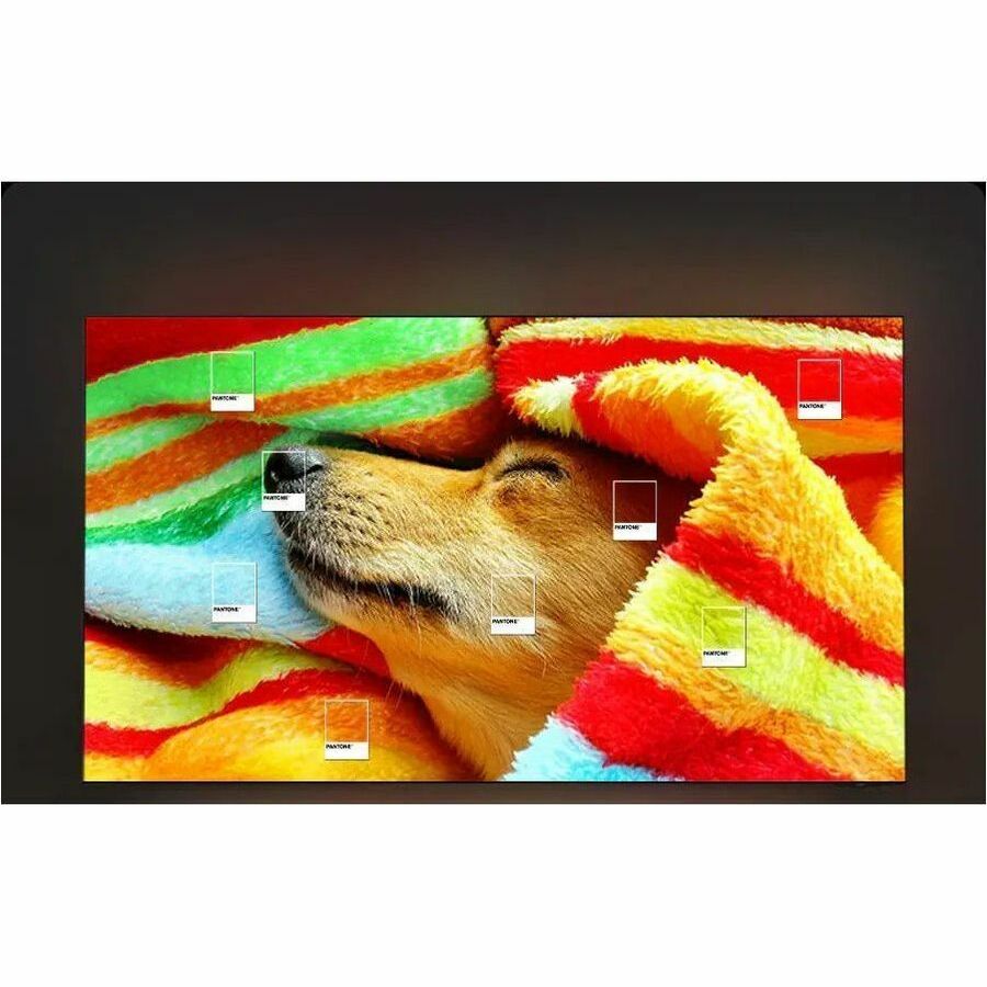Alternate-Image7 Image for Samsung S95F QN83S95FAE 82.5" Smart OLED TV - 4K UHDTV - Graphite Black