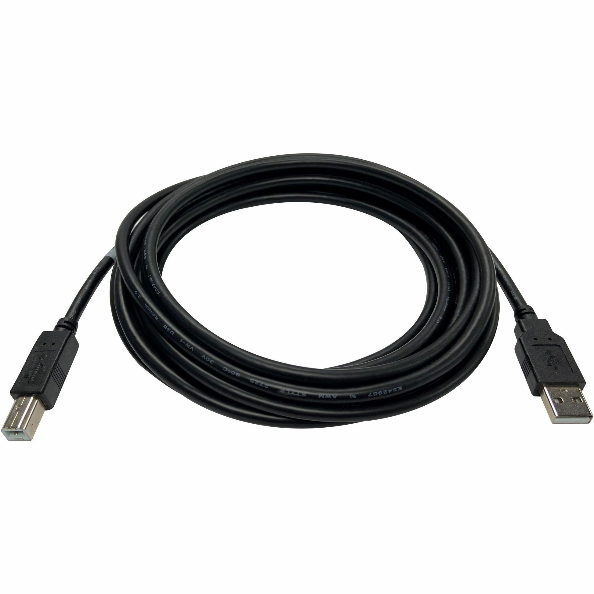 Main Image for Black Box USB 2.0 Cable - Type-A to Type-B, Male/Male, Black