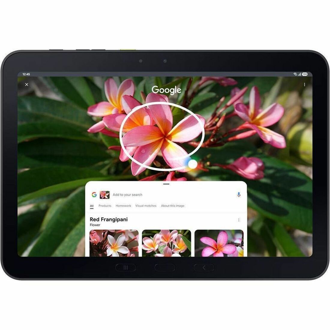 Main Image for Samsung Galaxy Tab Active5 Pro 5G Enterprise Edition Rugged Tablet - 10.1" WUXGA - Qualcomm SM7635 Snapdragon 7s Gen 3 (4 nm) Octa-core - 8 GB - 256 GB Storage - 5G - Green