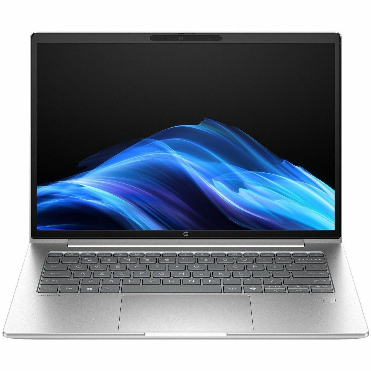 Main Image for HP ProBook 4 G1i 14" Notebook - WUXGA - Intel Core Ultra 5 225U - 16 GB - 512 GB SSD - English Keyboard - Pike Silver