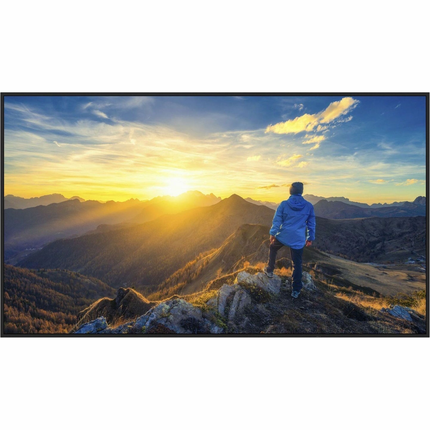 Main Image for Sharp 43" Ultra High Definition Commercial Display