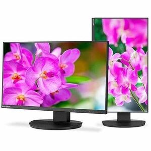 Main Image for Sharp NEC Display MultiSync DD-EA241F 24" Class Full HD LED Monitor - 16:9 - Black