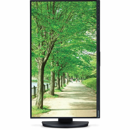 Front Image for Sharp NEC Display MultiSync DD-EA241F 24" Class Full HD LED Monitor - 16:9 - Black