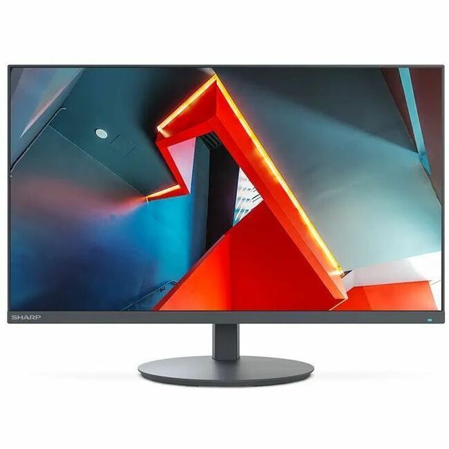 Main Image for Sharp NEC Display MultiSync DD-E244FL 24" Class Full HD LED Monitor - 16:9