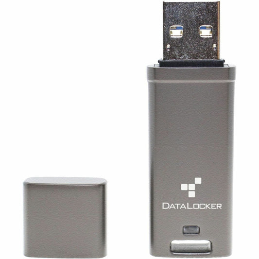 Main Image for DataLocker DL GO 64GB (Usb 3.2 (gen 1) type a + Usb 3.0 + Usb 3.1) Flash Drive