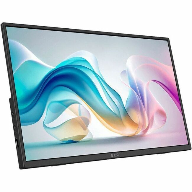 Main Image for MSI Pro MP165 E6 16" Class Full HD LCD Monitor - 16:9 - Matte Black