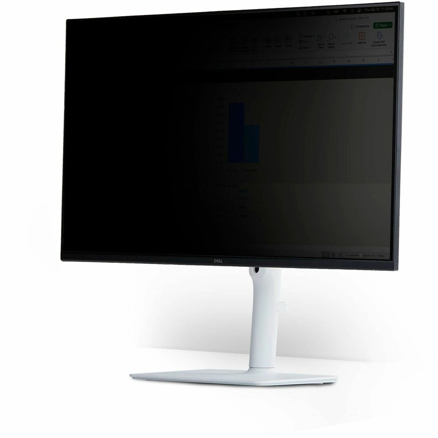 Main Image for StarTech Magnetic Monitor Privacy Screen for 24" 16:9 Widescreen Display, Removable Filter, Anti-Glare/Glossy Sides, TAA Compliant
