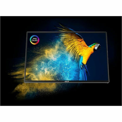 Alternate-Image3 Image for Asus ZenScreen MQ16FC 16" Class WUXGA OLED Monitor - 16:10