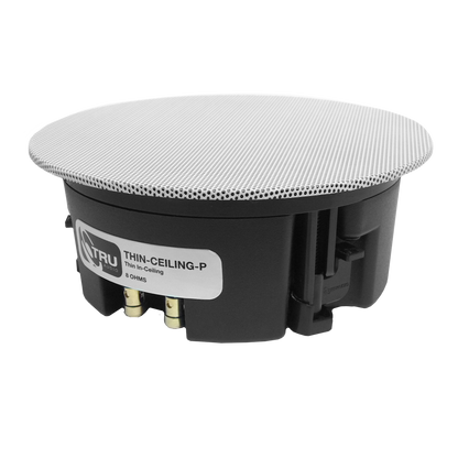 Thin-Ceiling speaker showing 5" woofer and 1" silk dome tweeter